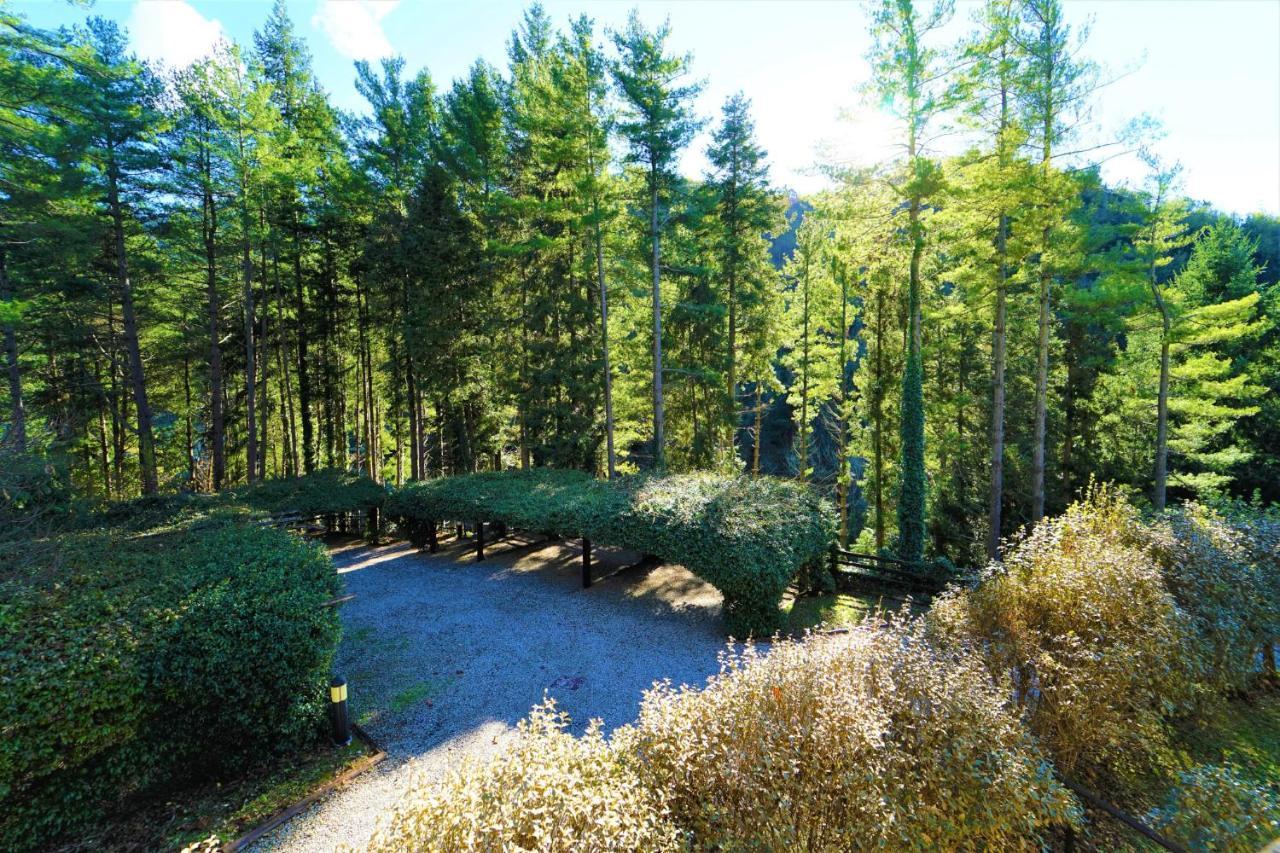Il Bosco Di Campo Marzano Sunlight Διαμέρισμα Borzonasca Εξωτερικό φωτογραφία