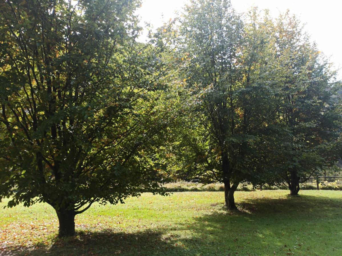 Il Bosco Di Campo Marzano Sunlight Διαμέρισμα Borzonasca Εξωτερικό φωτογραφία
