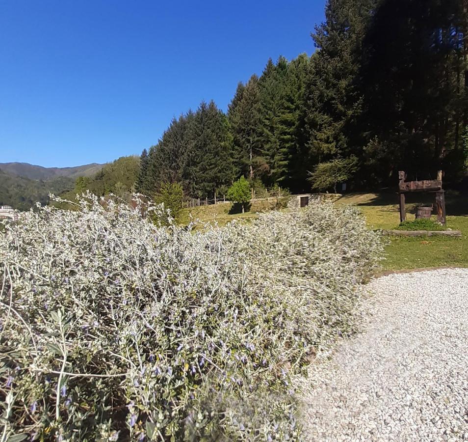 Il Bosco Di Campo Marzano Sunlight Διαμέρισμα Borzonasca Εξωτερικό φωτογραφία