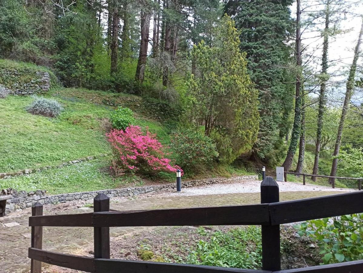 Il Bosco Di Campo Marzano Sunlight Διαμέρισμα Borzonasca Εξωτερικό φωτογραφία